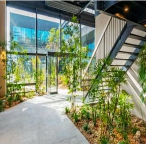 Modern glass institutional building with landscaping