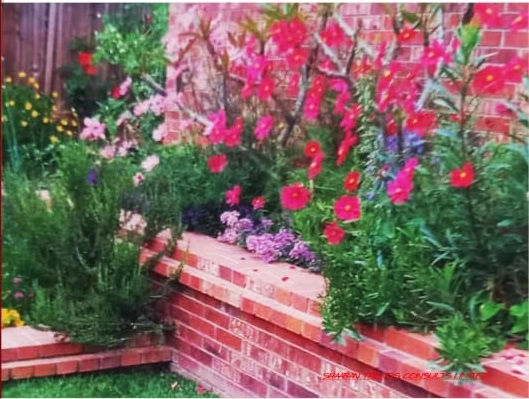 Creative landscaping and garden design